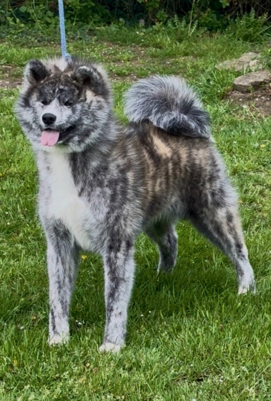 Publication : du Clos des Chtis 