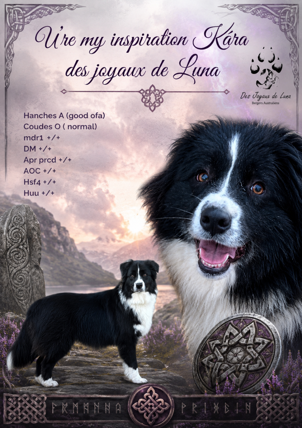 Publication : Des Joyaux De Luna