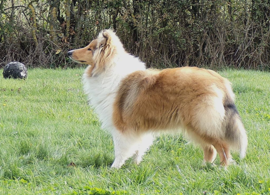 Publication : des Olidrines Du Vrin 