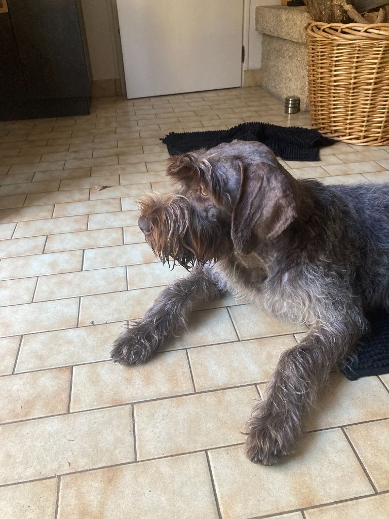 Publication : des Mordorees Automnales 