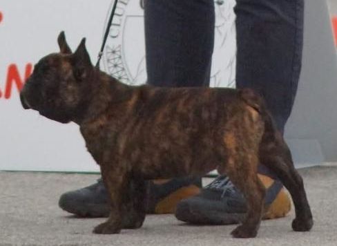 Publication : du Domaine d'urkantys 