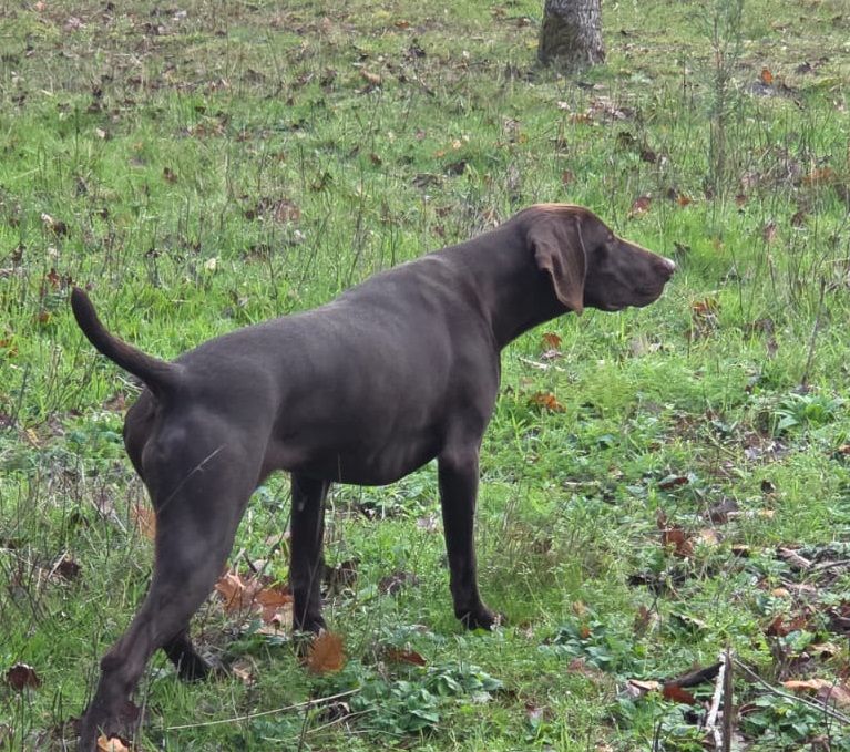 Publication : des Granges de la Dombes 