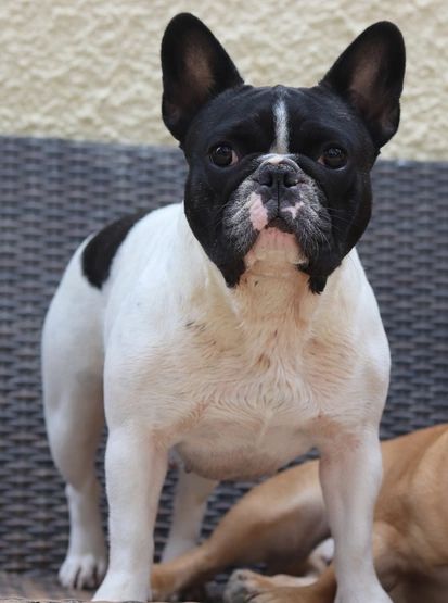 Publication : de la plaine d'ipnaya Auteur : Aude Benoit