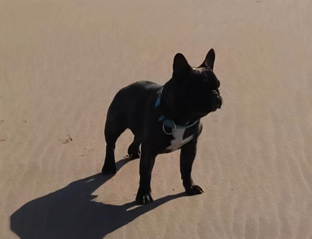 Publication : de la plaine d'ipnaya 