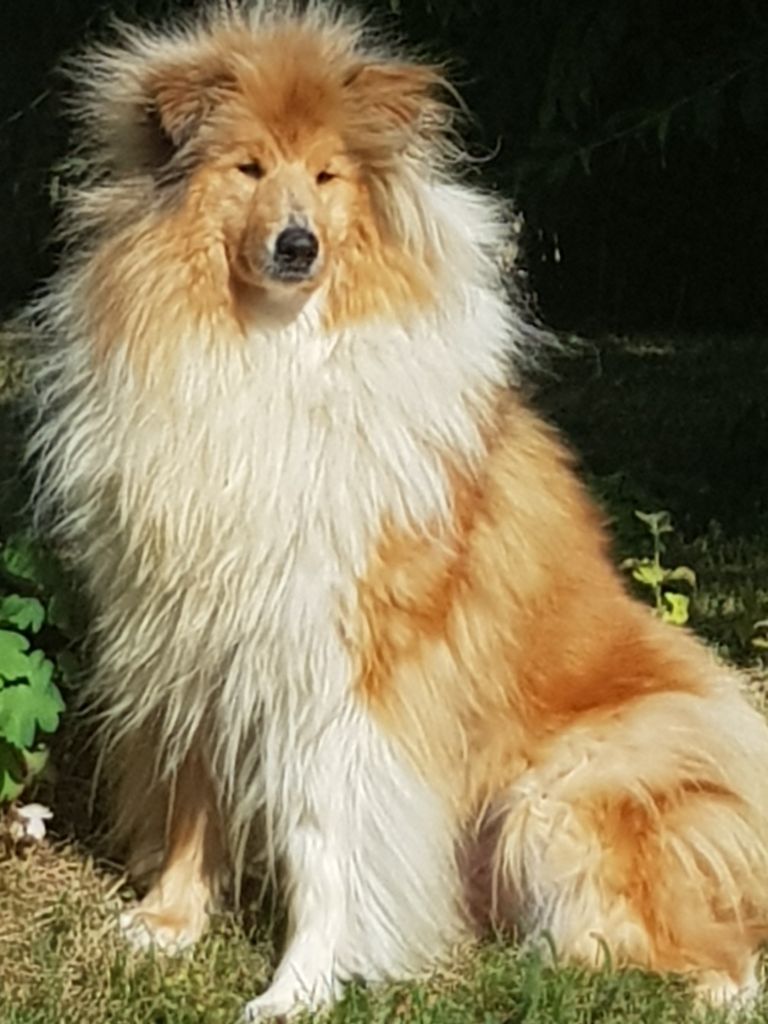 Publication : of River Tweed 