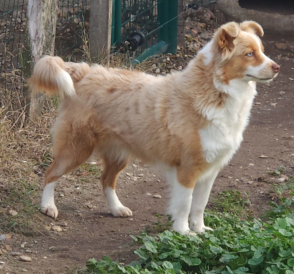 Publication : (Sans Affixe)