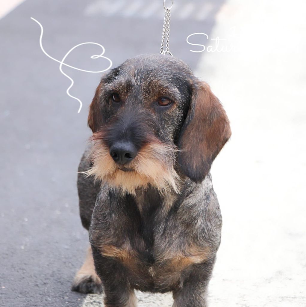 Publication : Oun Bass Auteur : sandrine ROUSSEL-MANTION