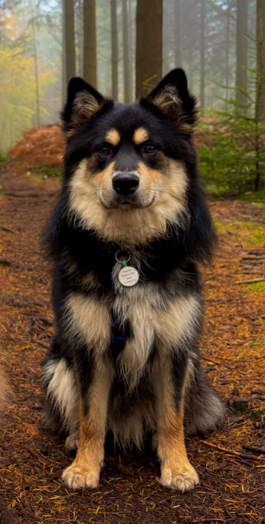 Publication : Benjamine Rabillé Auteur : Rabillé Benjamine