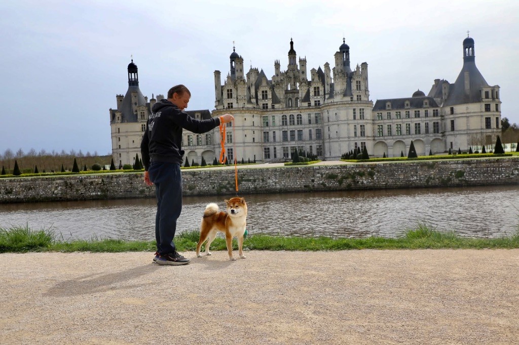 Publication : go you djenima 