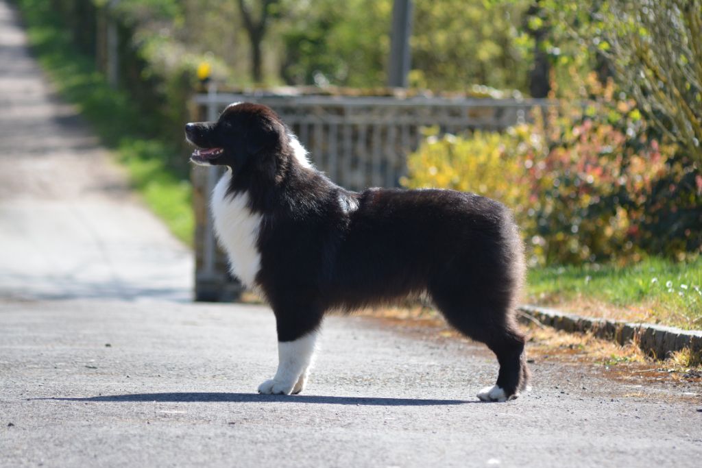 Publication : De La Source Du Rez 