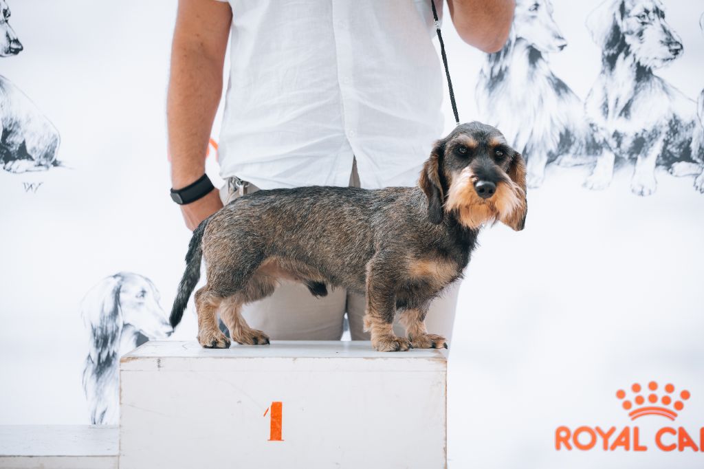 Publication : Des Fontaines D’Orka 