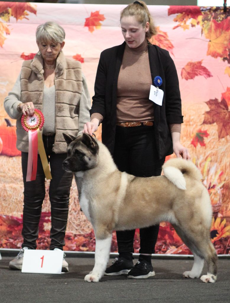 Publication : Des Gardiens De La Cigogne Auteur : AMANDINE malordy