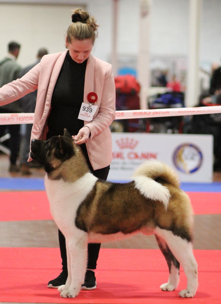 CH. Jch time to the grizzly Des Gardiens De La Cigogne