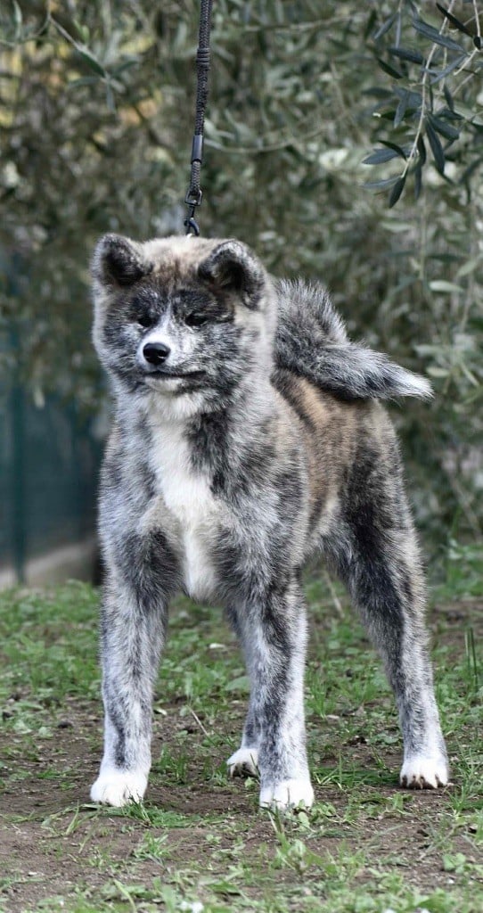 Publication : du Clos des Chtis 