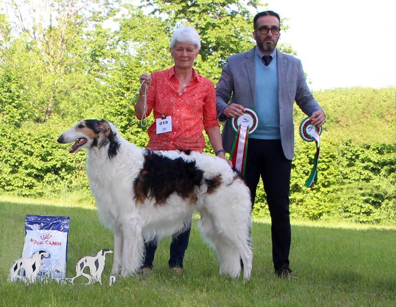 Publication : du Cot-Regnier Auteur : Dlf