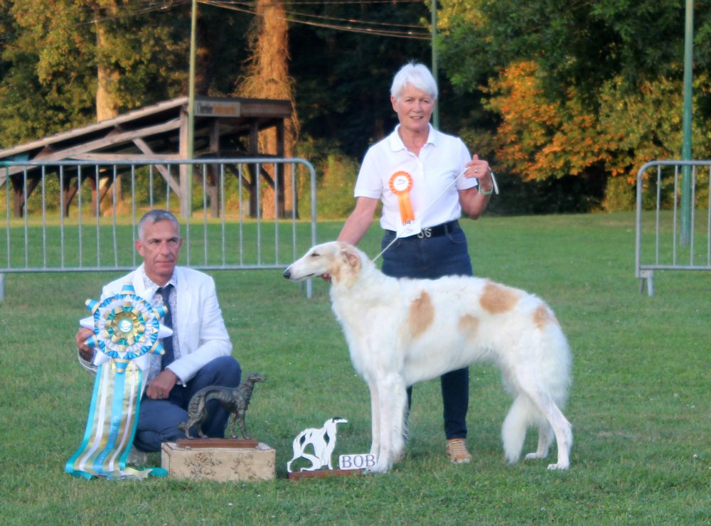 Publication : du Cot-Regnier Auteur : Dlf