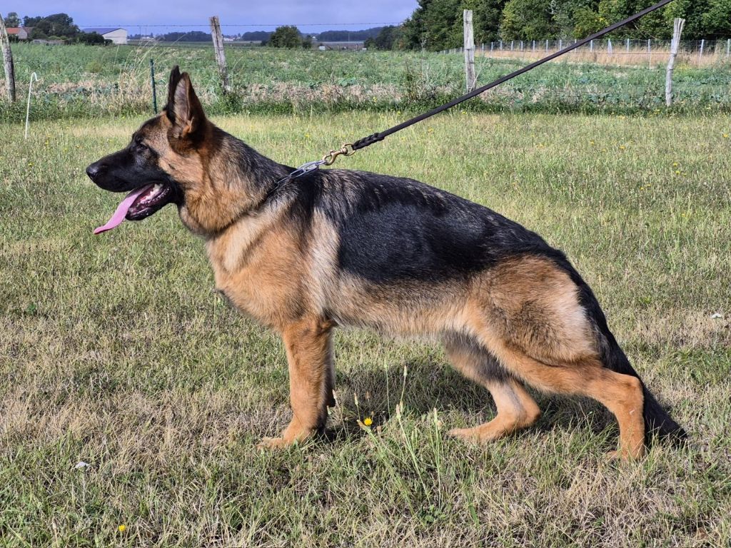 Publication : Du Chemin D'Eden 