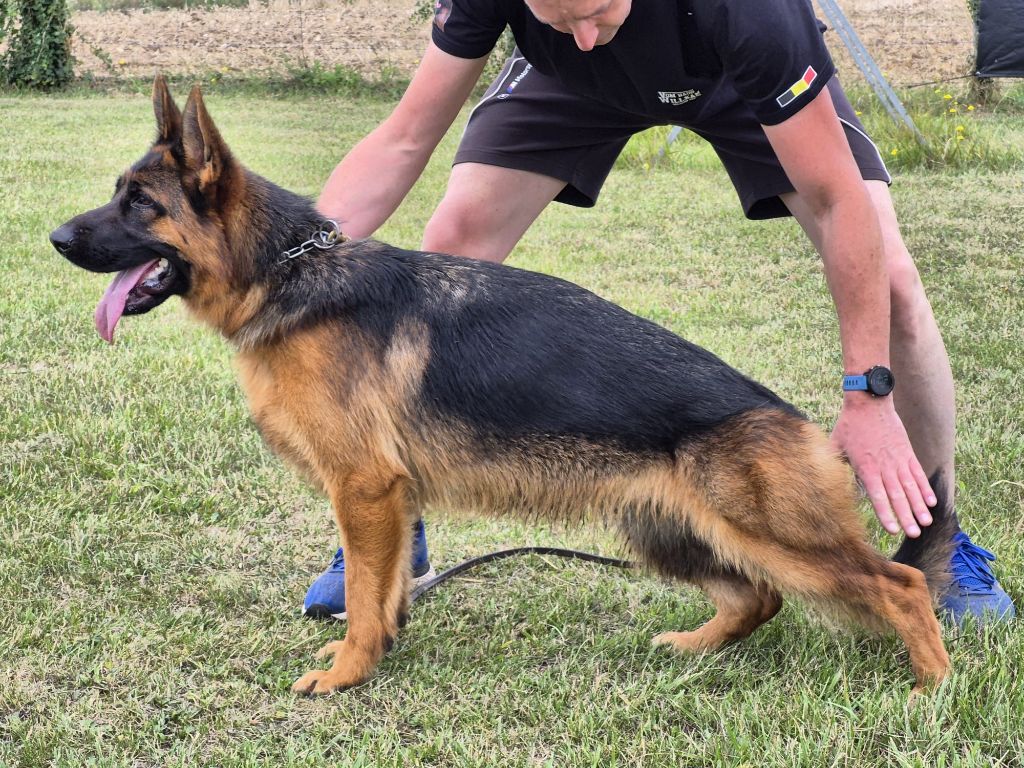 Publication : Du Chemin D'Eden 