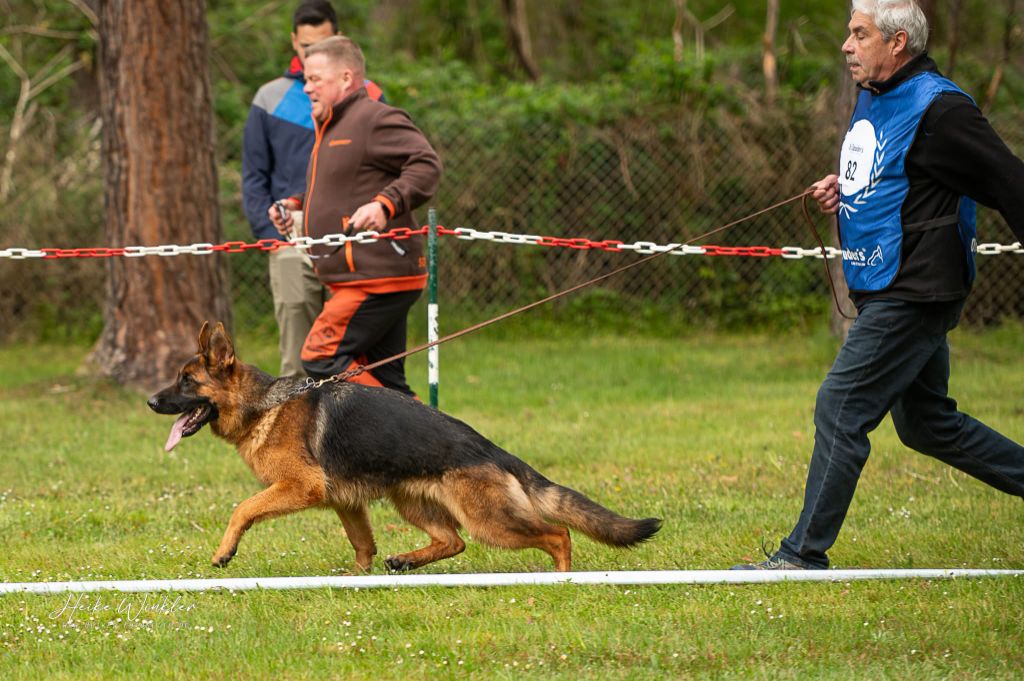 Publication : Du Chemin D'Eden 