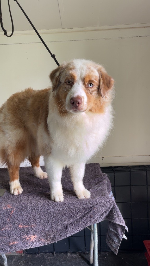 Publication : Des Fées Du Marteray