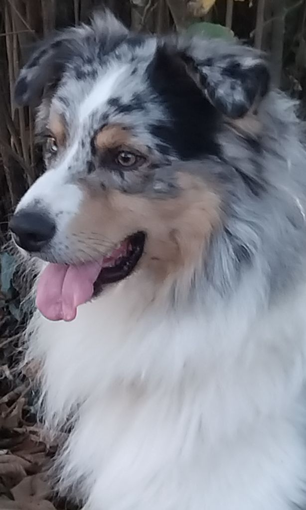 Publication : Du Chemin De Mathenou 