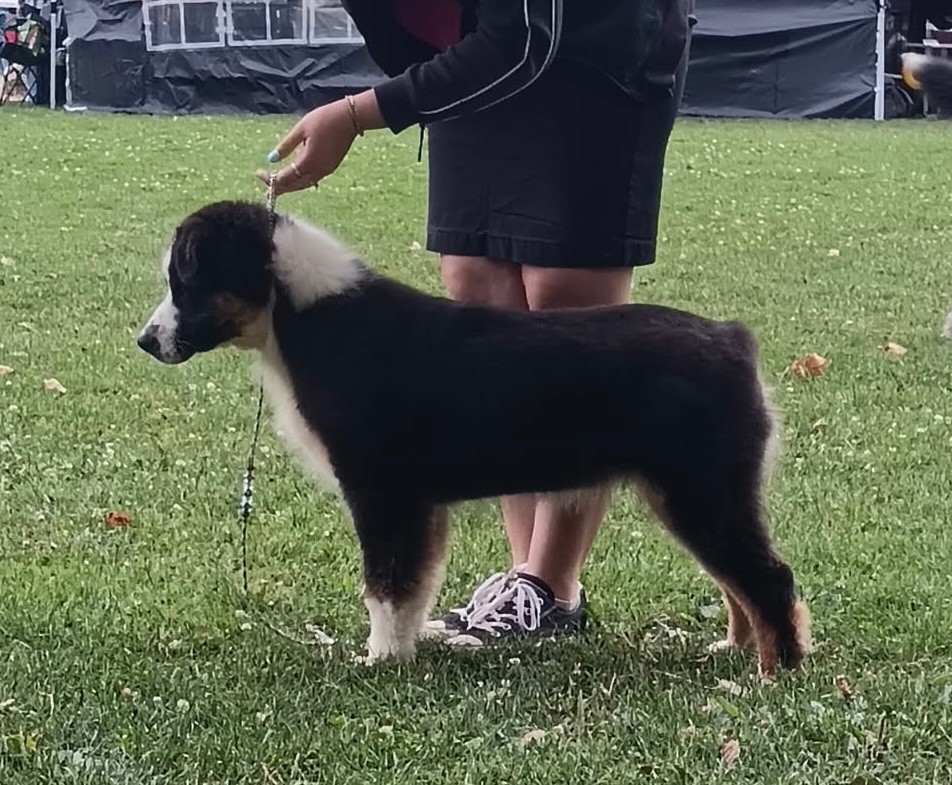 Publication : de la Plaine Ariègeoise