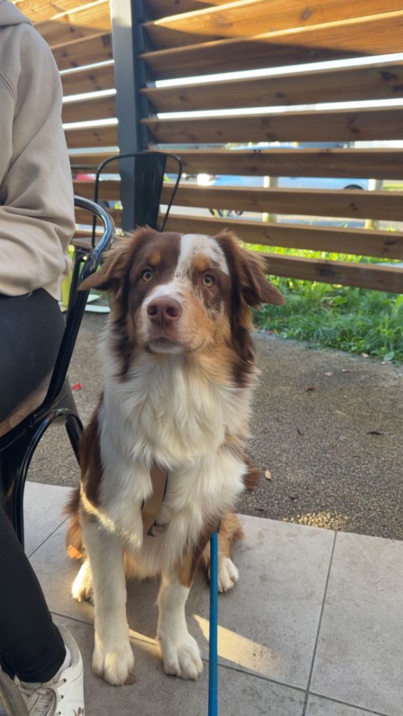 Publication : du domaine de country 