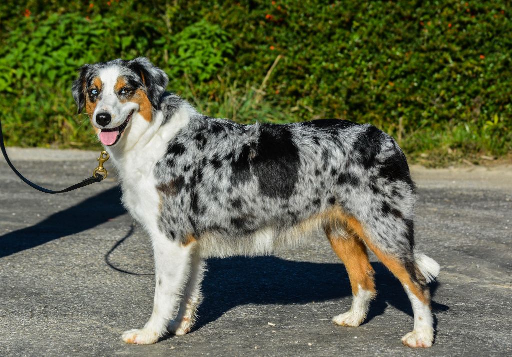 Publication : Des collines verdoyantes 