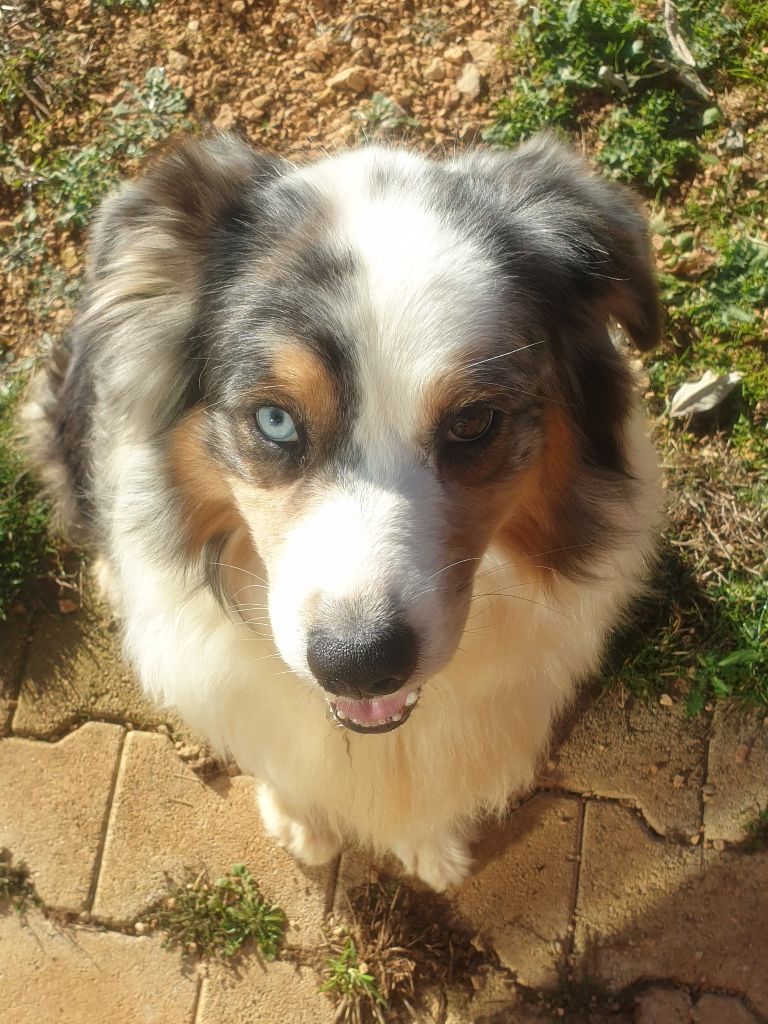 Publication : de l'etang du vert 