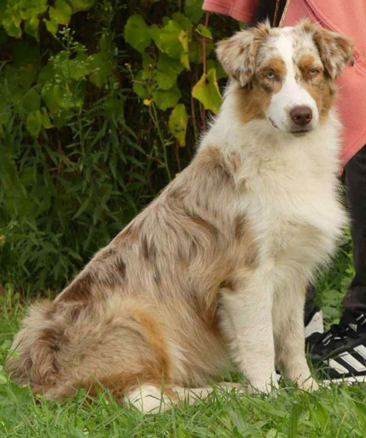 Publication : For The Memory Of Mandy 