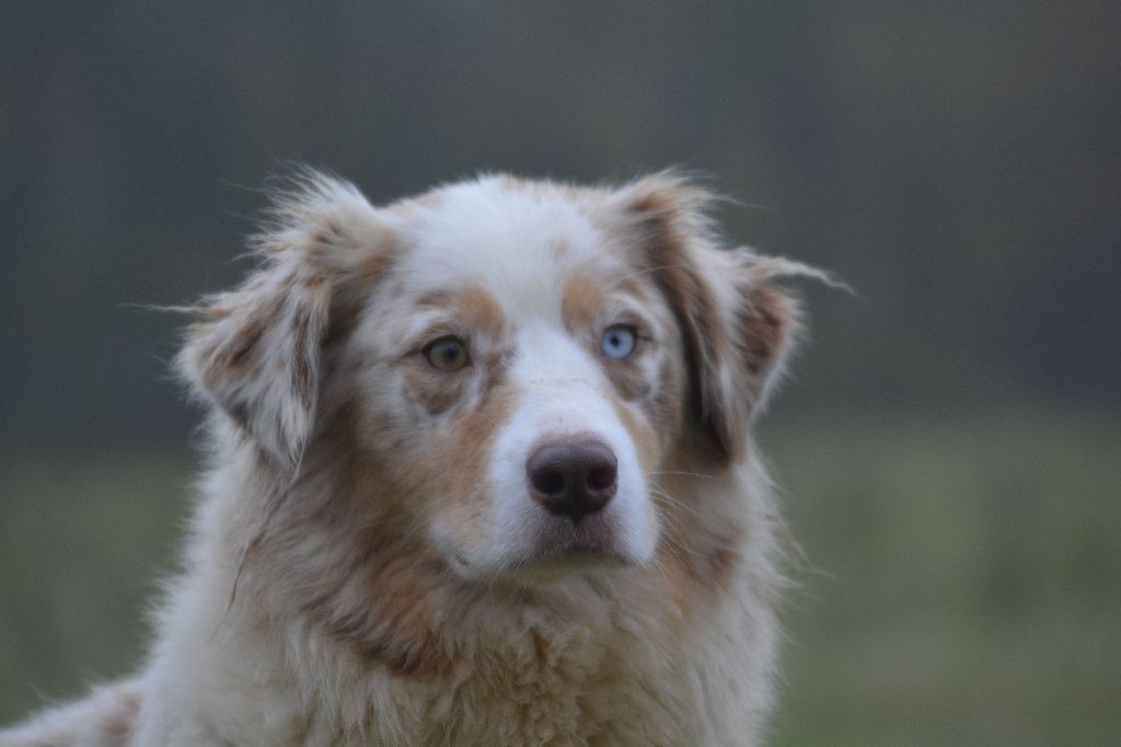 Publication : Des collines verdoyantes 