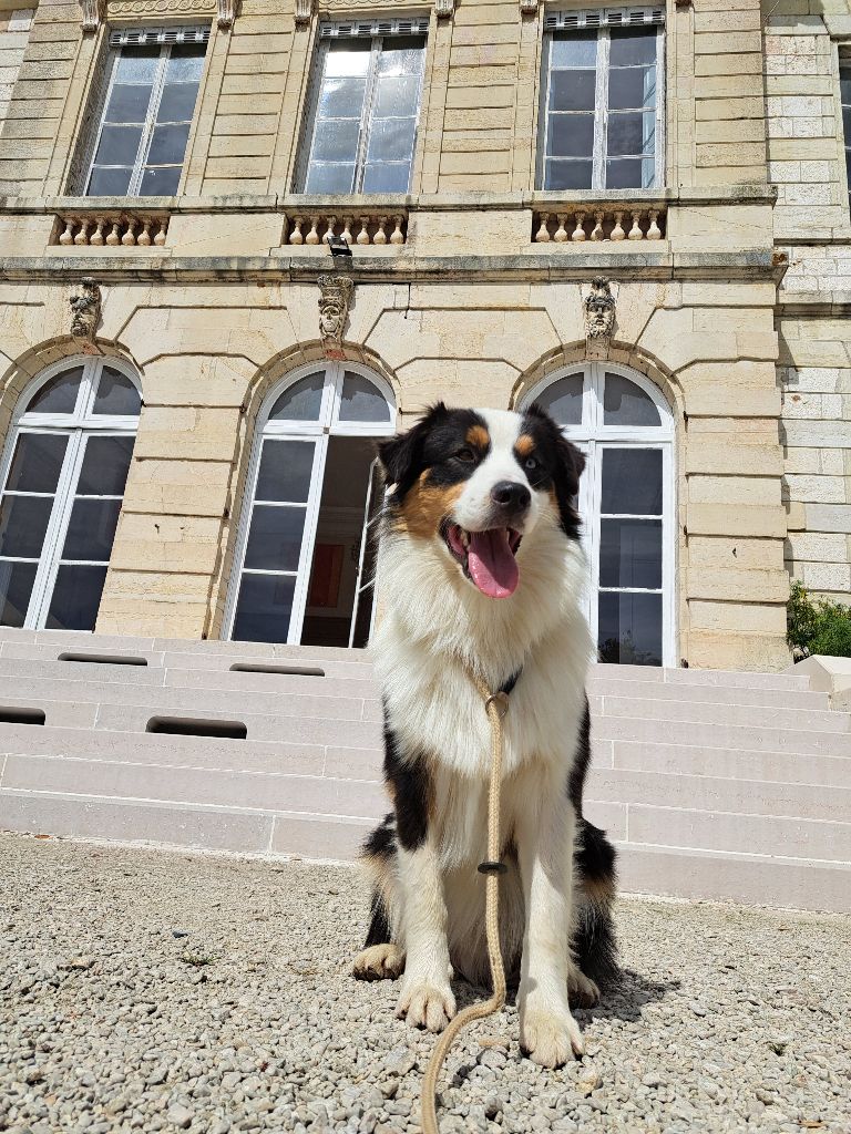 Publication : Des collines verdoyantes 