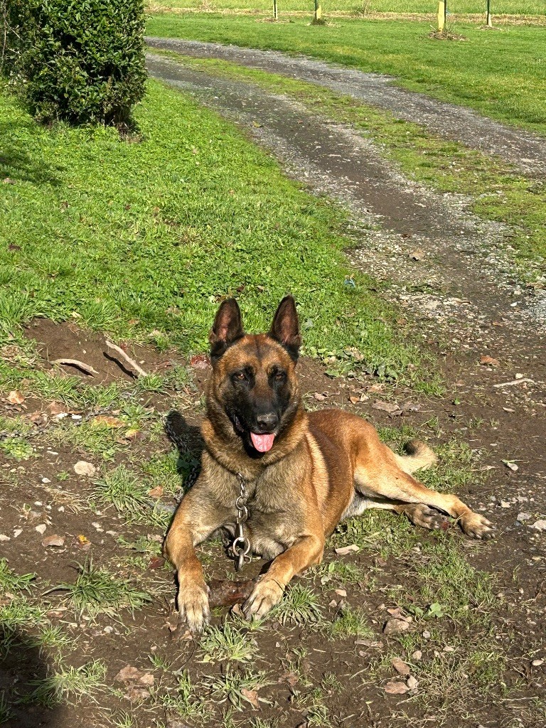 Publication : Of The Black World 