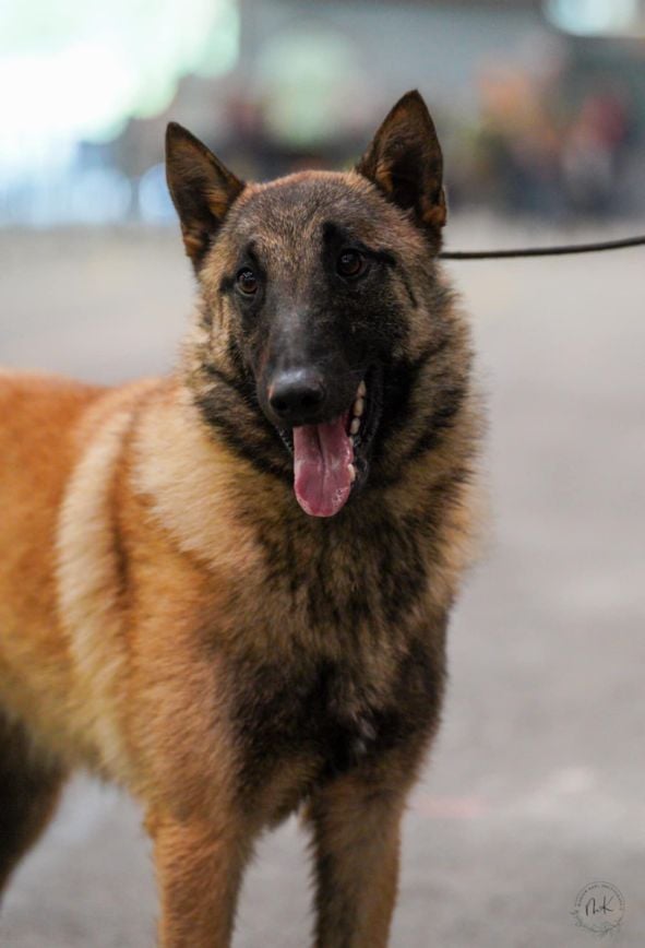 Publication : De La Butte Des Crocs Blancs 