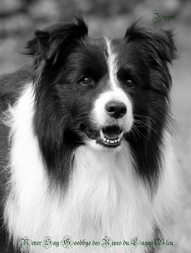 Publication : des Rives du Lagon Bleu Auteur : CAGNAC Antoine