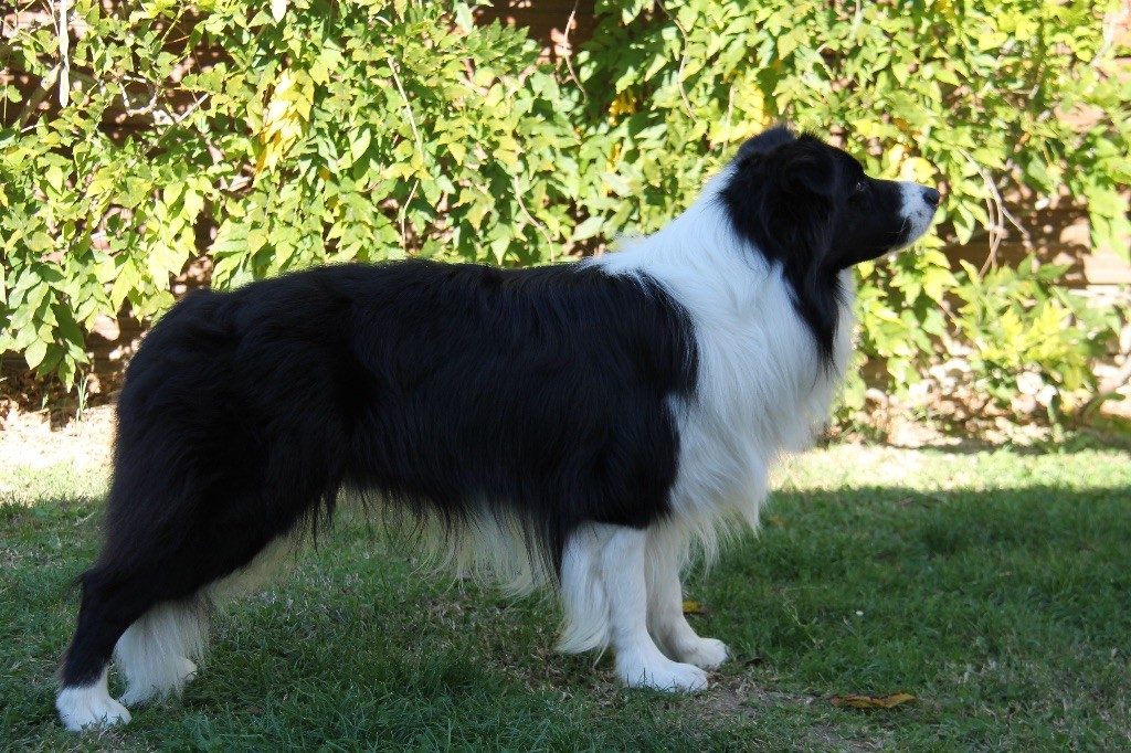 Publication : Paradise Of Black And White