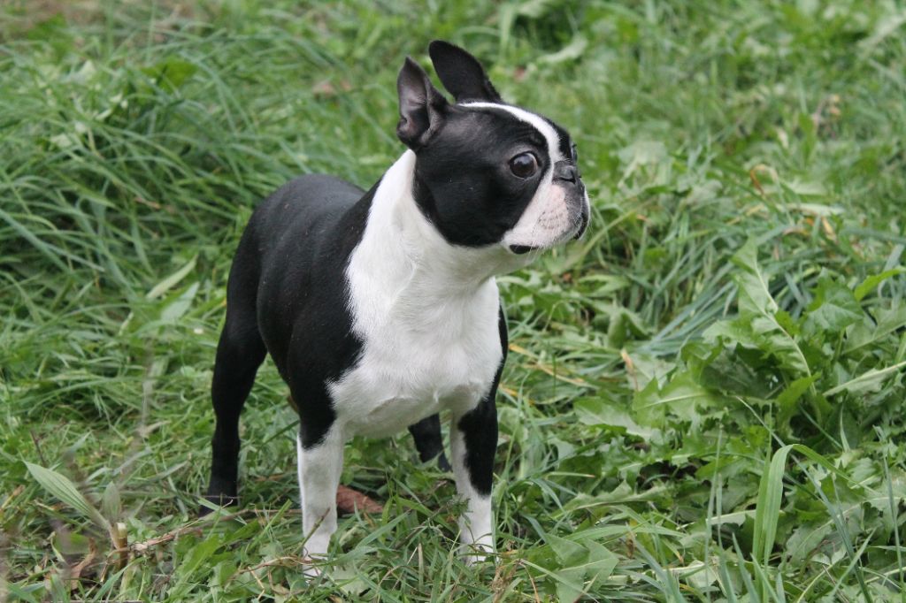 Publication : Du Domaine Des Sabliers D'orion 