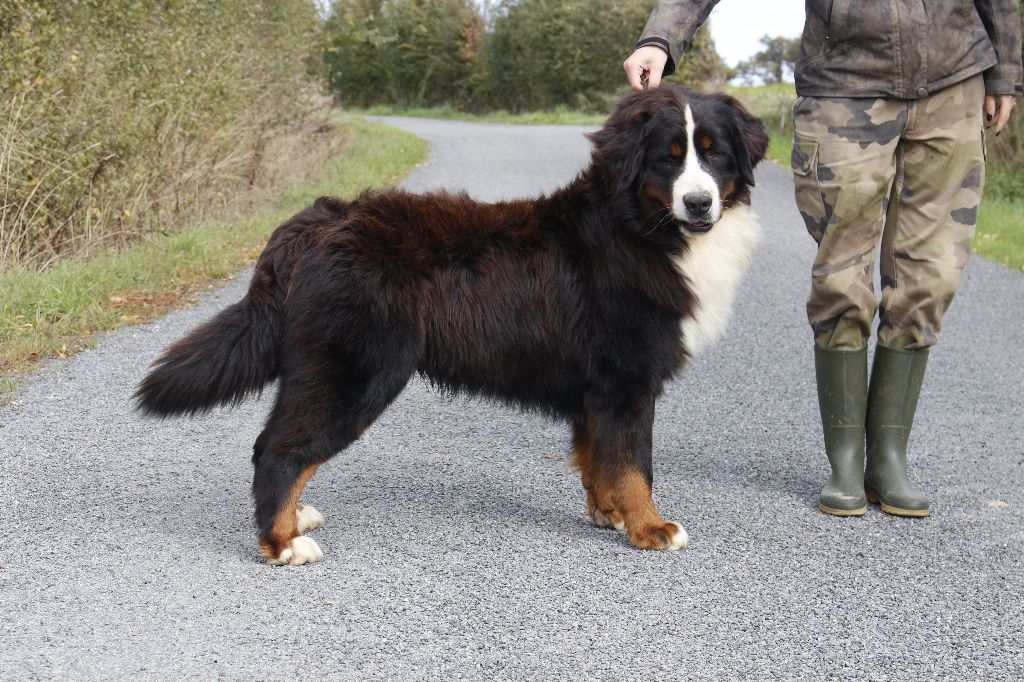 Publication : de la Vallée de l'Hyrome