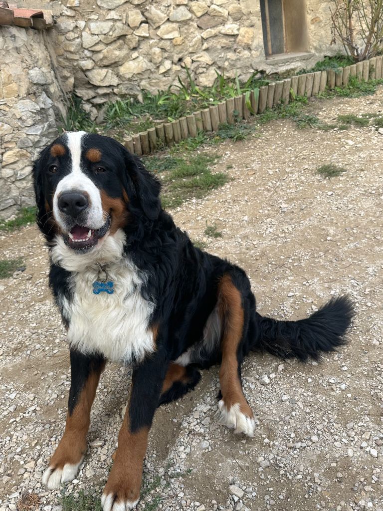 Publication : (Sans Affixe) Auteur : MOI