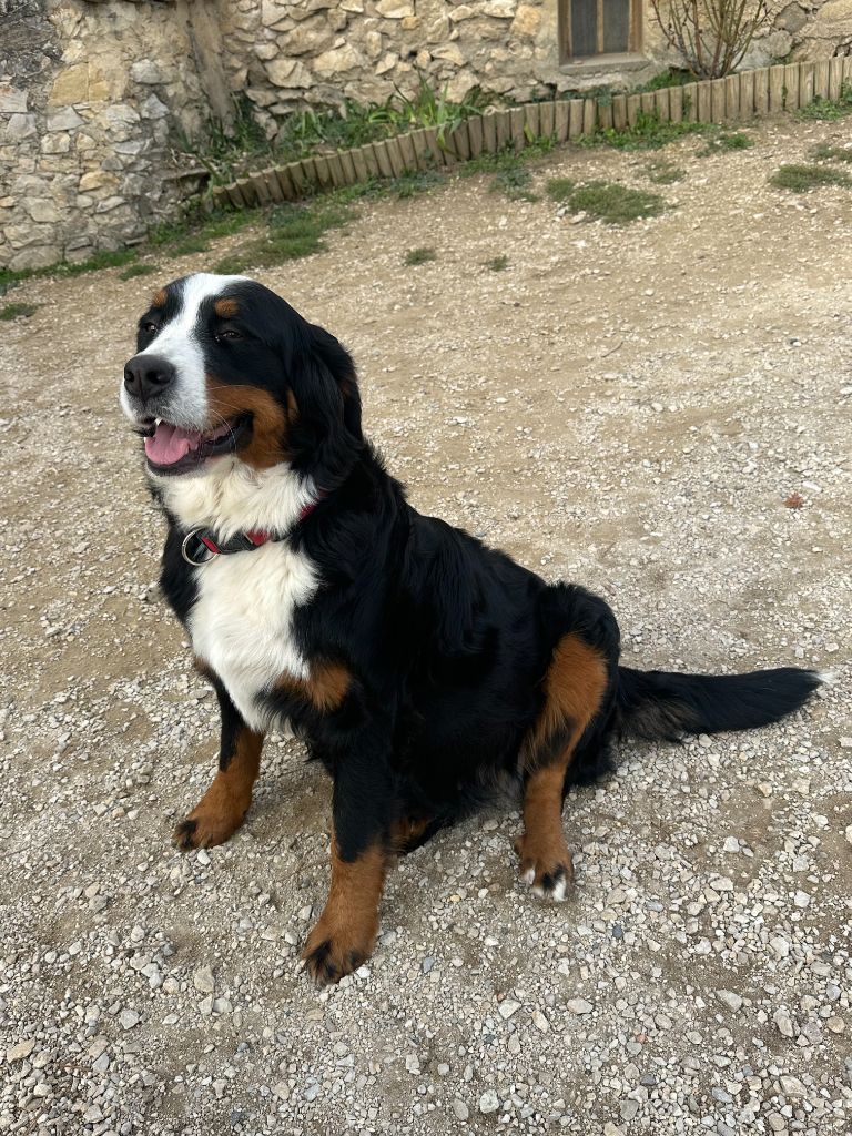 Publication : (Sans Affixe) Auteur : moi