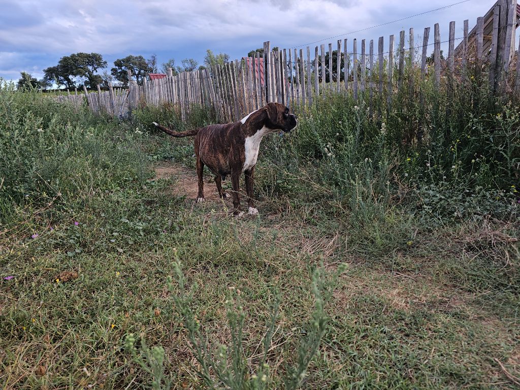 Publication : Du Soleil De L'aurion 