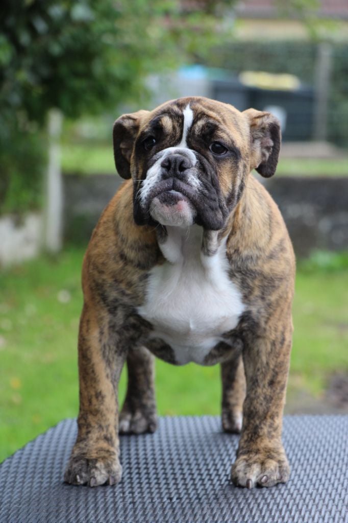 Publication : des Dunes de Mondopale Auteur : sophie tronel