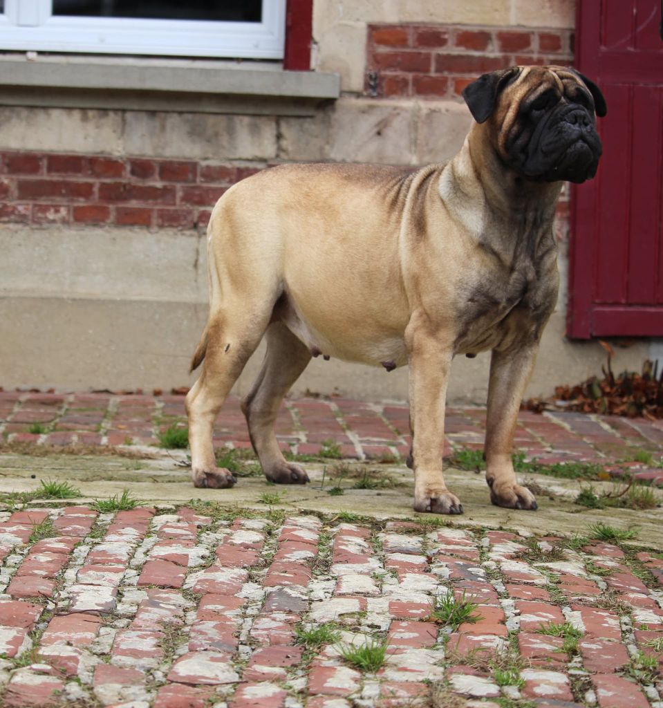 Des Sentinelles Des Essarts Tia