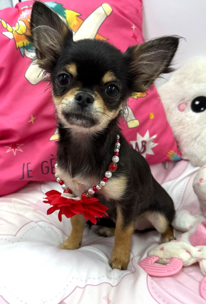 Publication : des Anges Éternels 