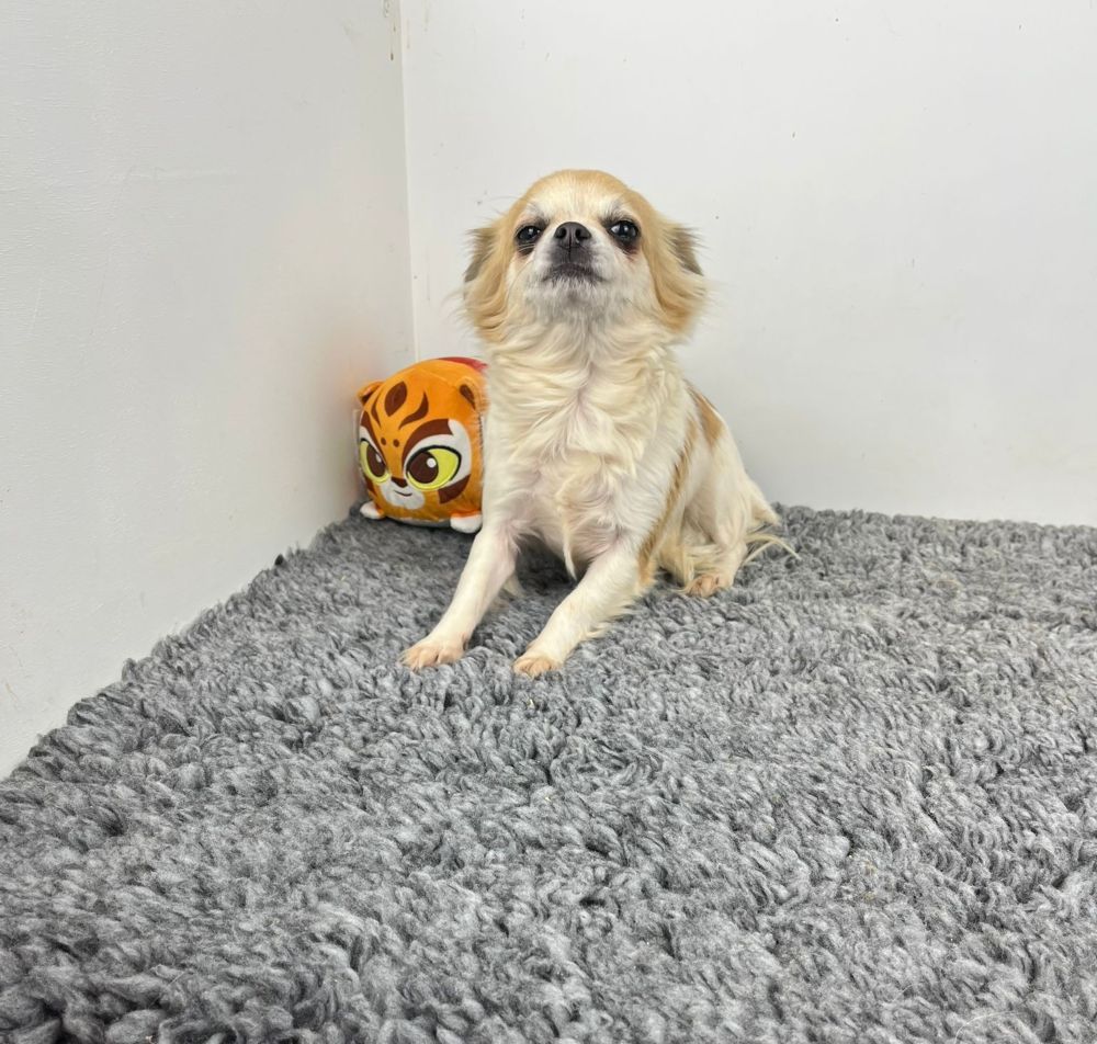 Publication : Du domaine pacifique