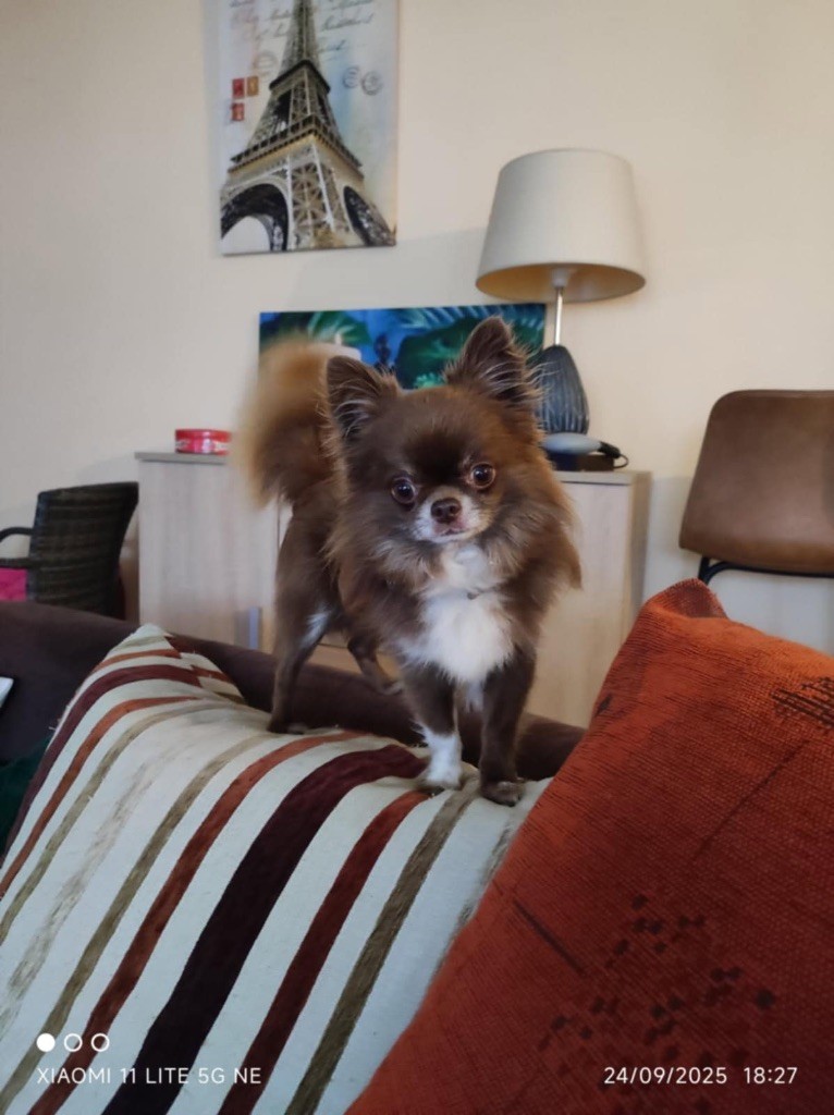 Publication : Les Anges De Sidonie