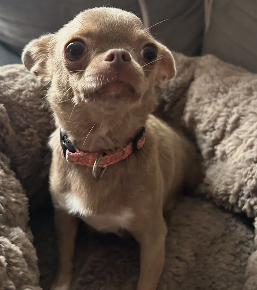 Publication : (Sans Affixe) 