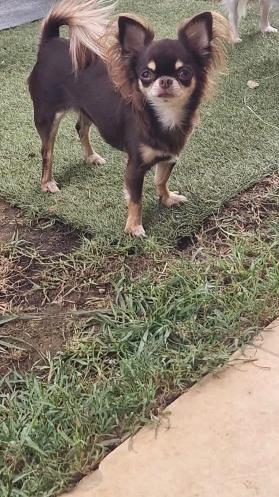 Publication : Les Anges De Sidonie