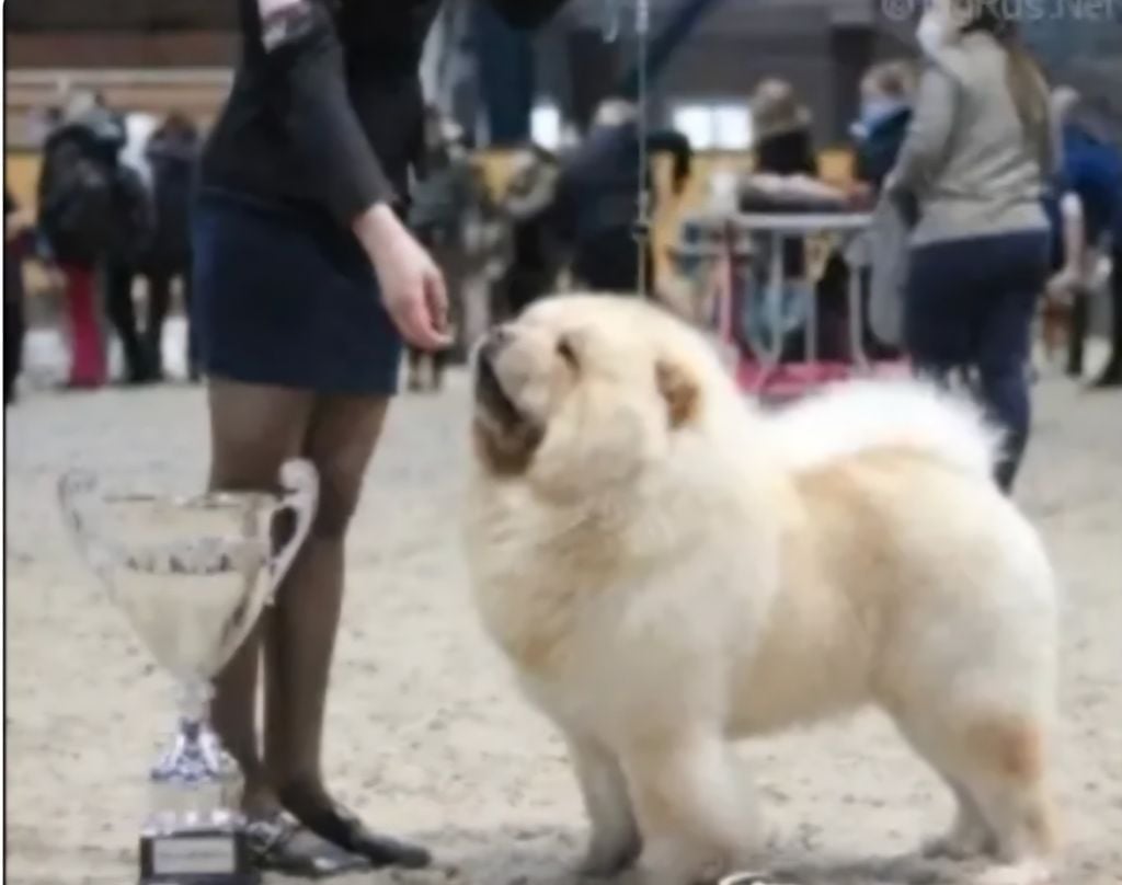 Publication : of Mayron and Co 