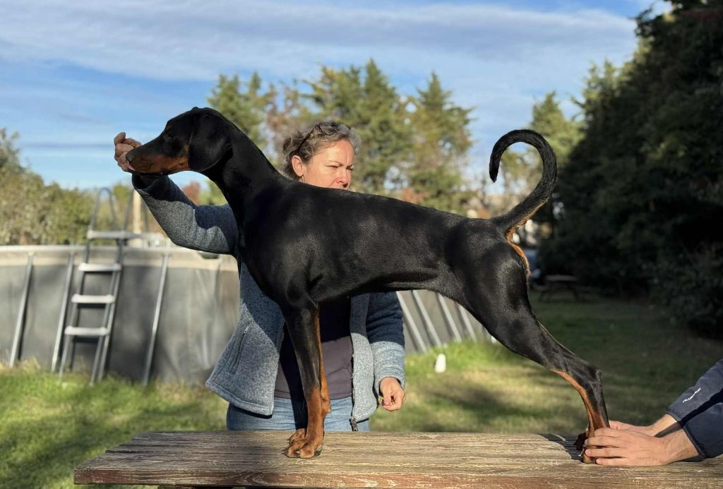 Publication : Des Brumes De Kalhan 